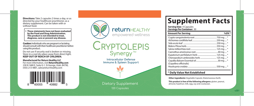Cryptolepis Synergy