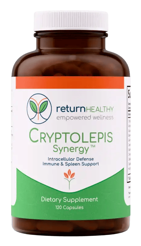 Cryptolepis Synergy