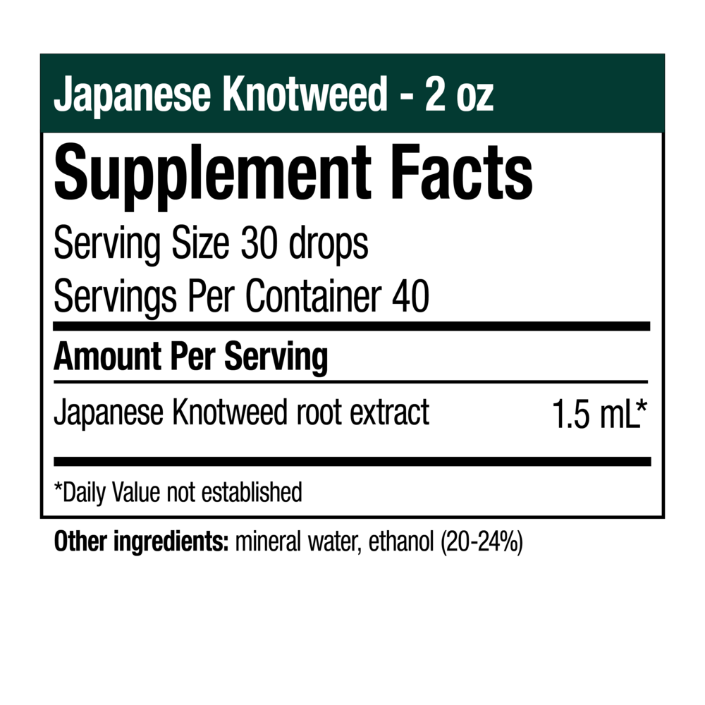 Japanese Knotweed