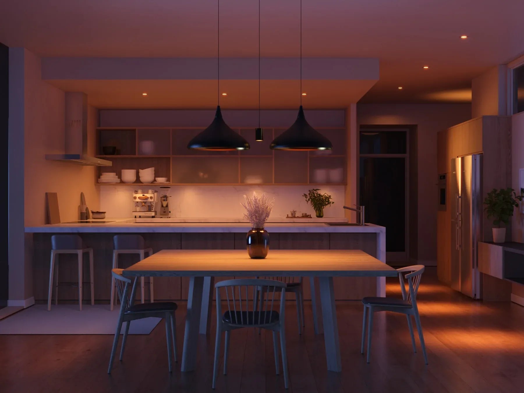 The Healthy Home