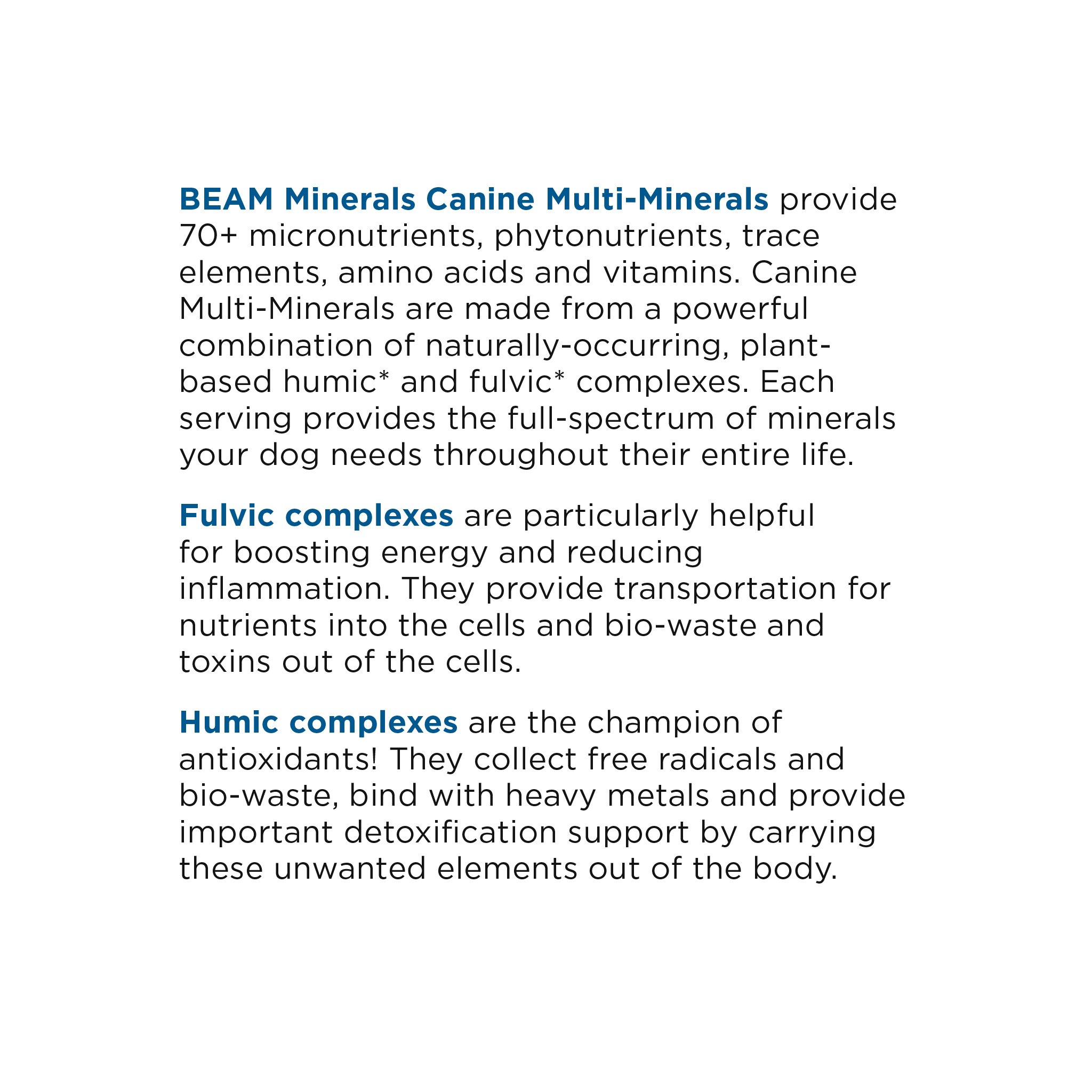 Advanced Canine Mineral and Electrolyte Replenishment Set