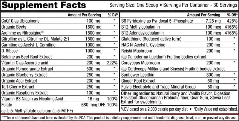 Neuro Support Bundle