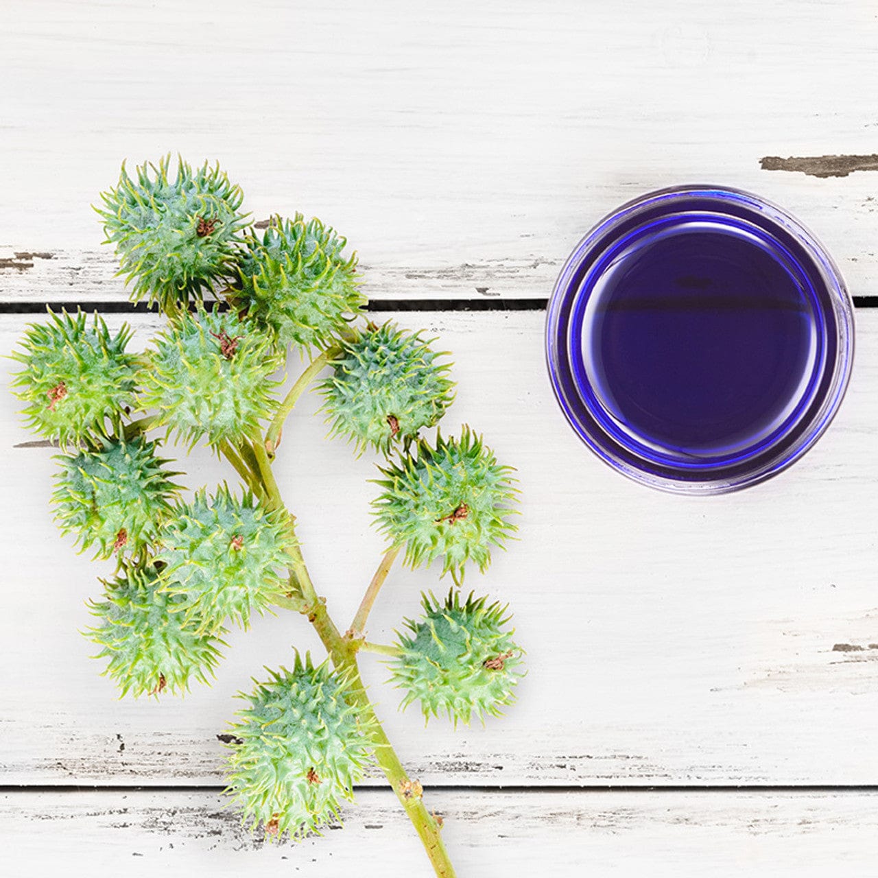 PurO3 Ozonated Castor Oil