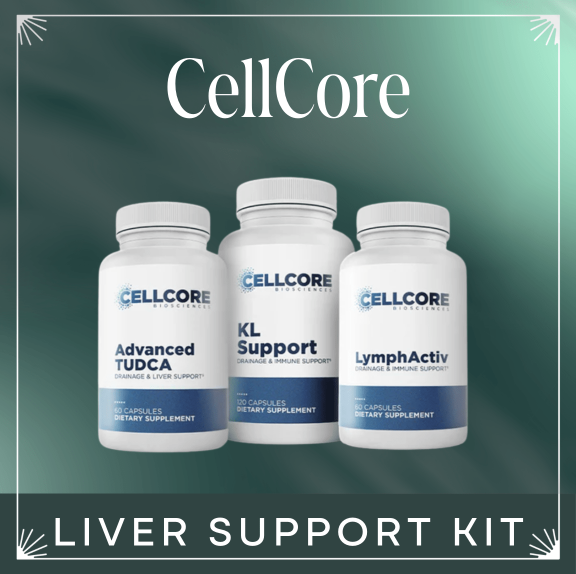 Liver Support Kit