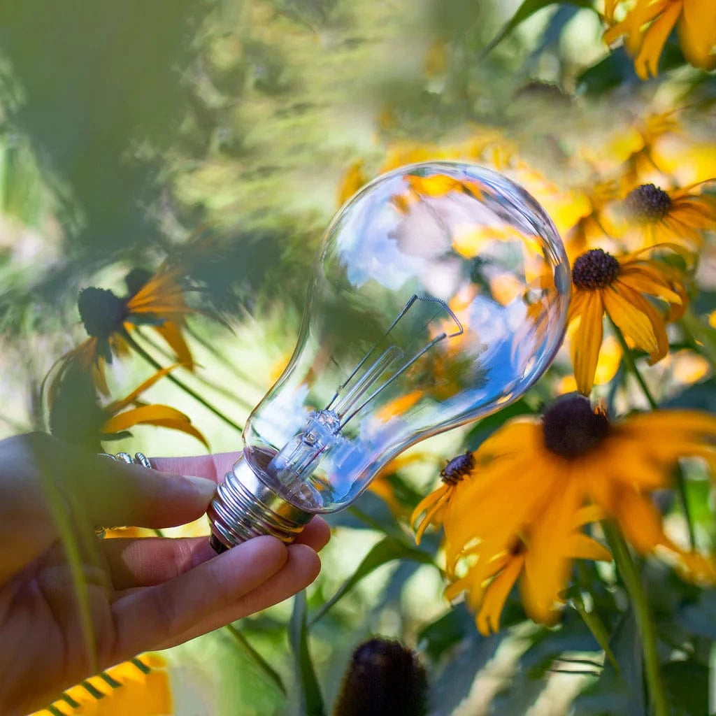 HealthLighting - Original Bulb for Health & Wellness