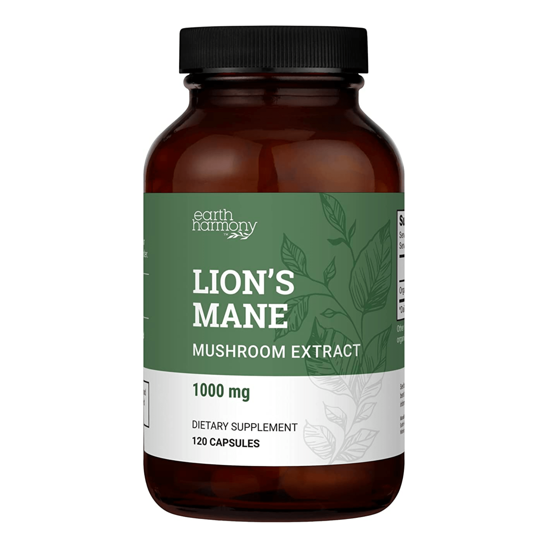 Lion's Mane - Earth Harmony