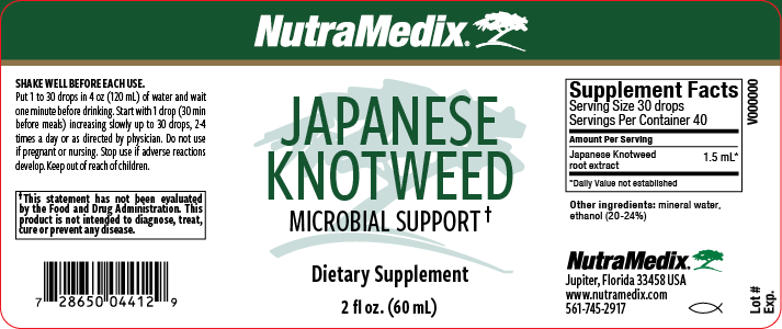 Japanese Knotweed