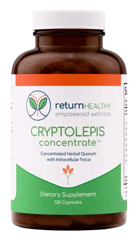 Cryptolepis Concentrate