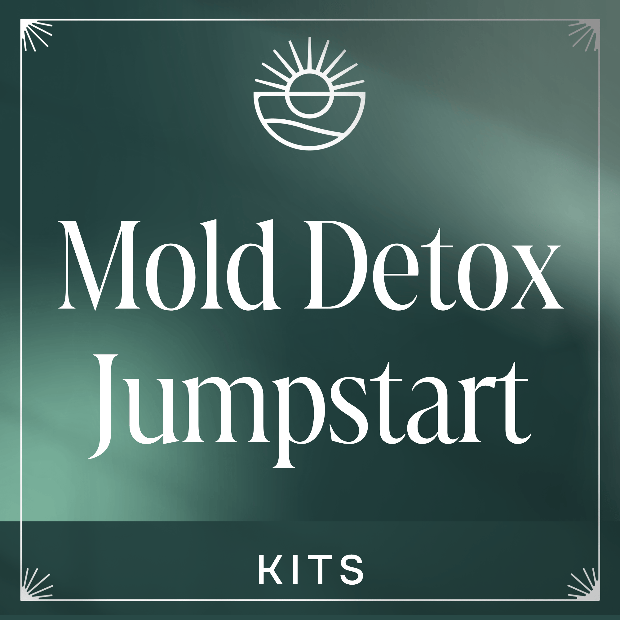 Mold Detox Jumpstart Kit