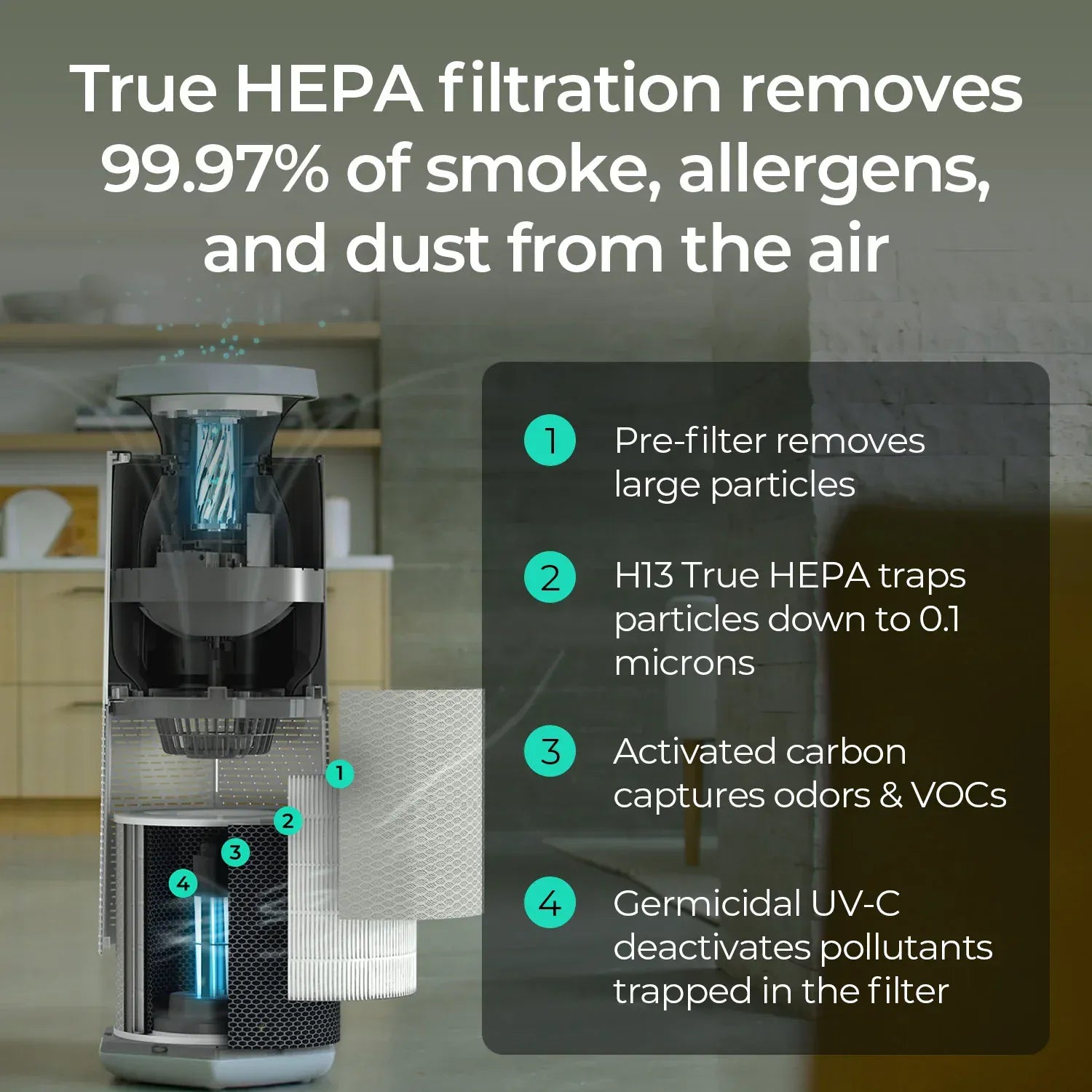 Core® Air & Surface Purifier